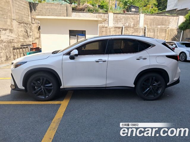Lexus NX из Кореи Encar
